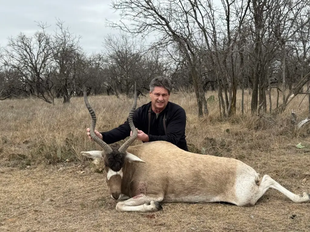 Addax Hunt in Oklahoma addax hunt