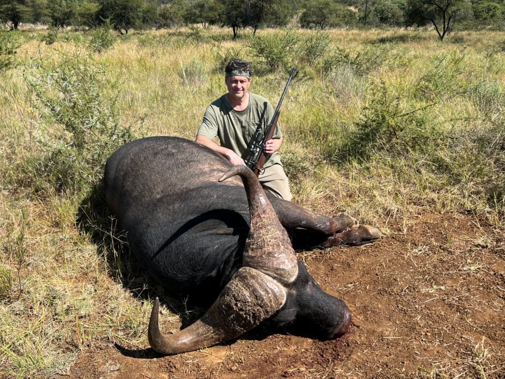 cape buffalo hunt in south africa