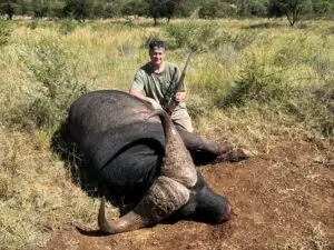 cape buffalo hunt in south africa