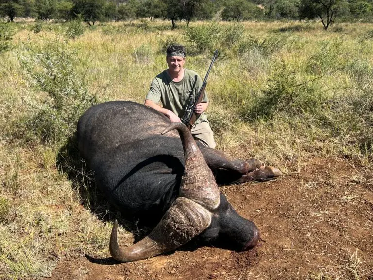 cape buffalo hunt in south africa