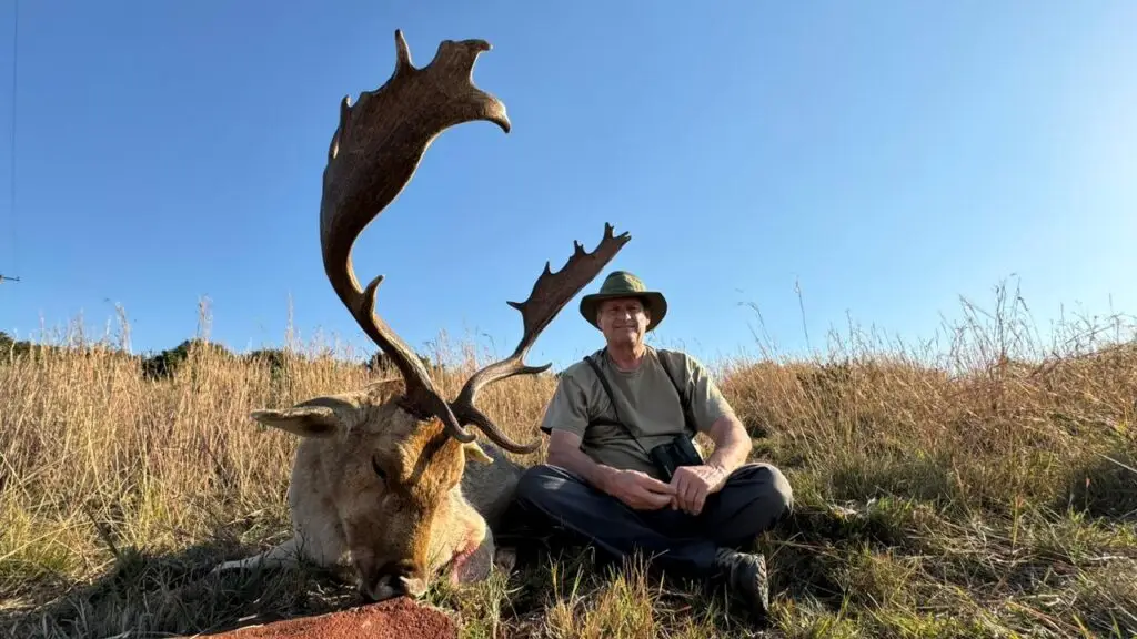 fallow deer hunts