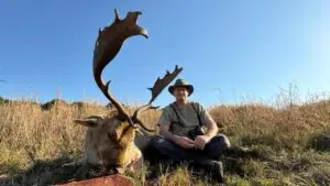 fallow deer hunts
