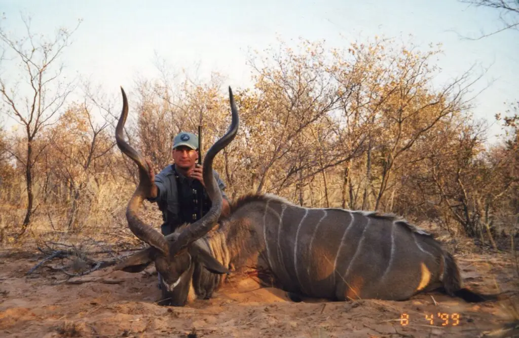 kudu hunt botswana
