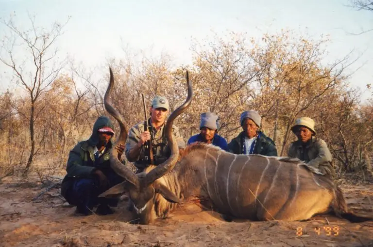 kudu hunt botswana
