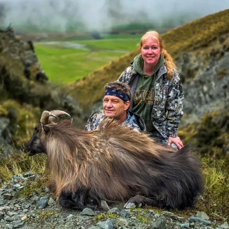 new zealand tahr hunt