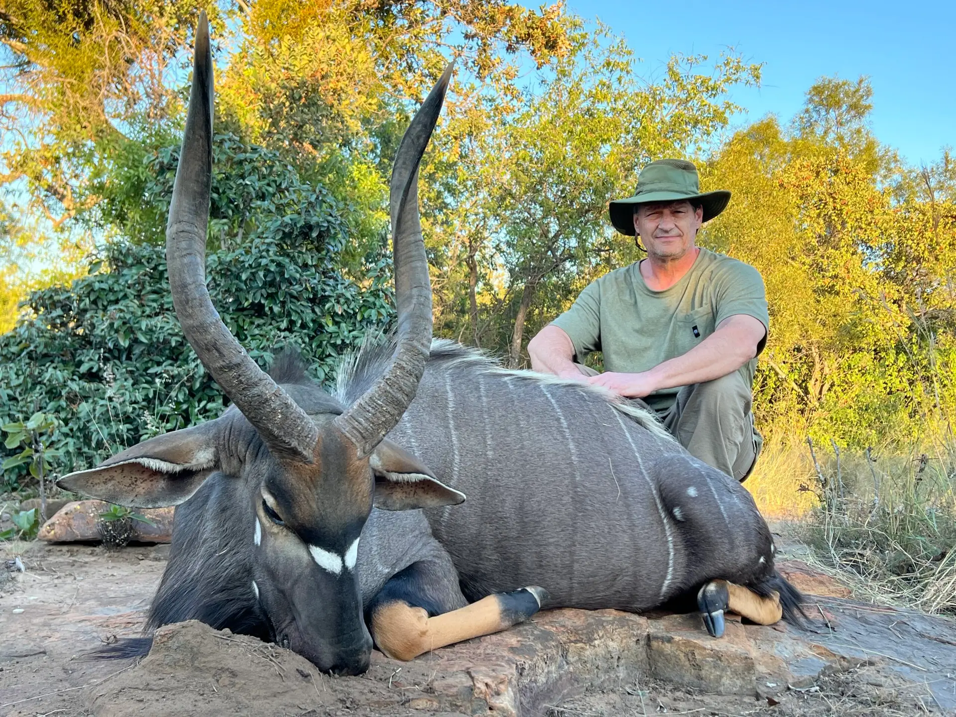 nyala hunt south africa