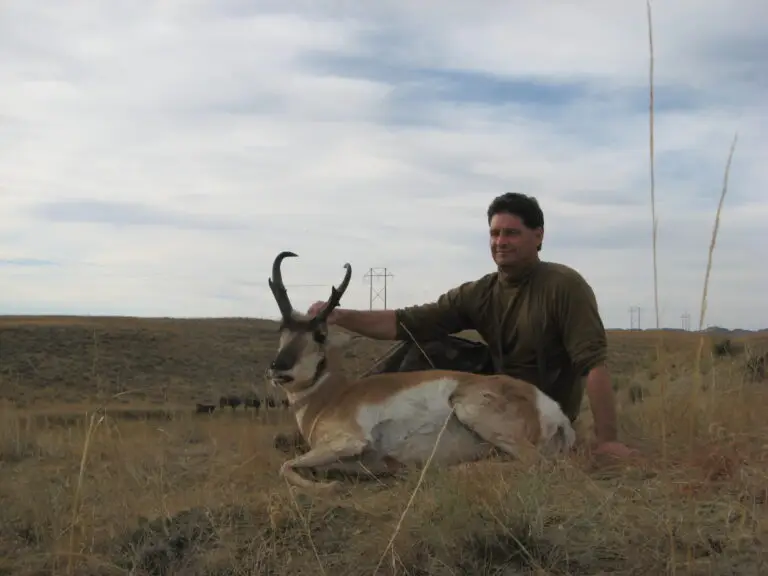 prong horn hunt wyoming