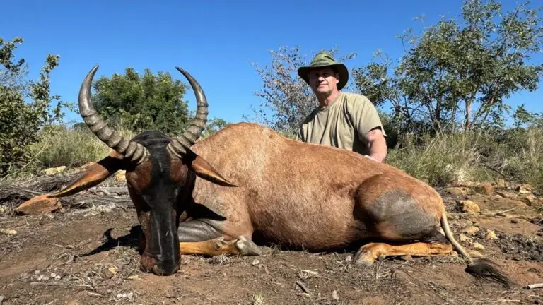 tsesebee hunt in south africa