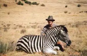 zebra hunt in south africa