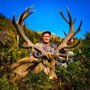 red stag hunt new zealand