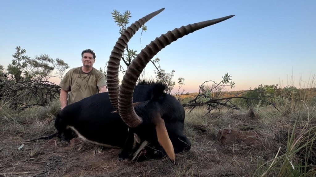 sable hunt south africa