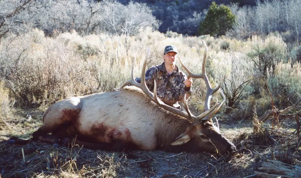 elk hunt utah