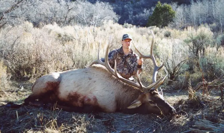 elk hunt utah