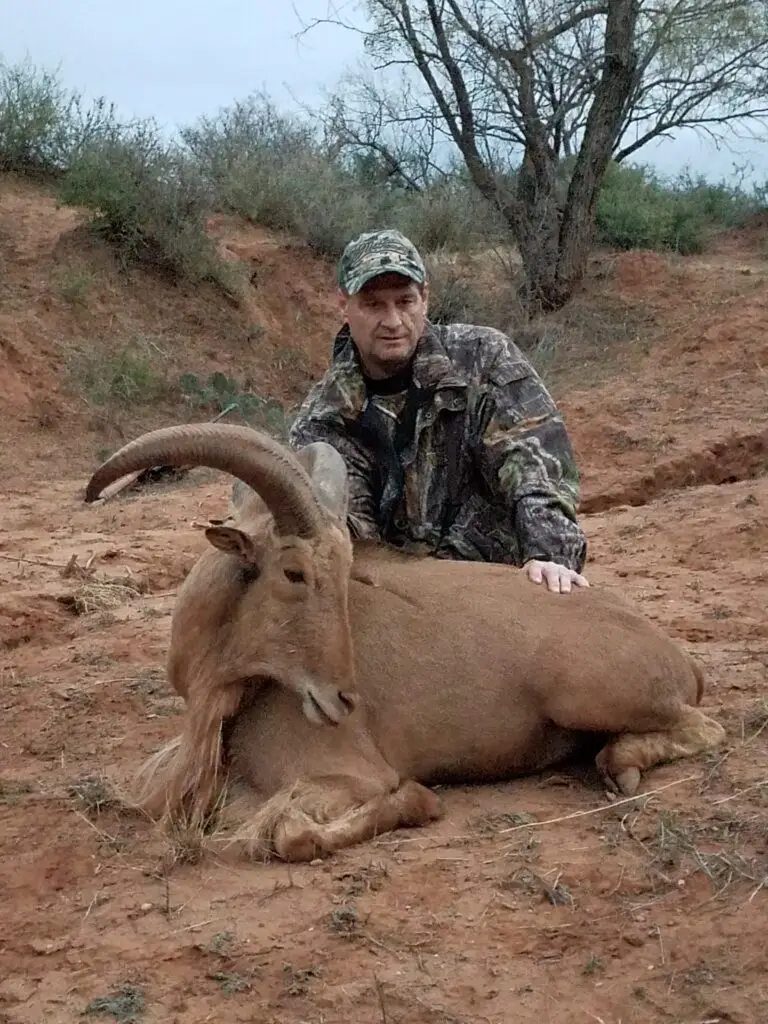 Aoudad Hunt in Oklahoma Aoudad Hunt