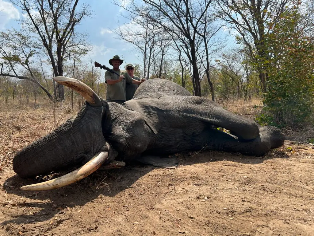 Elephant Hunt Botswana