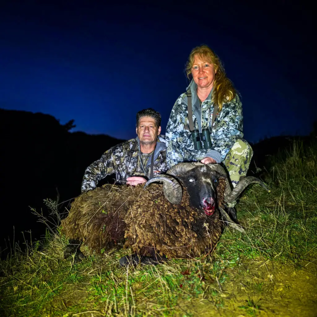 new zealand arapawa hunt