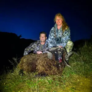 new zealand arapawa hunt