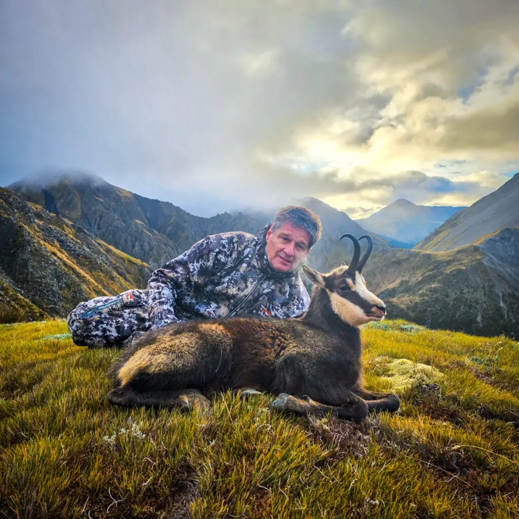 Chamois Hunt in New Zealand new zealand chamois hunt
