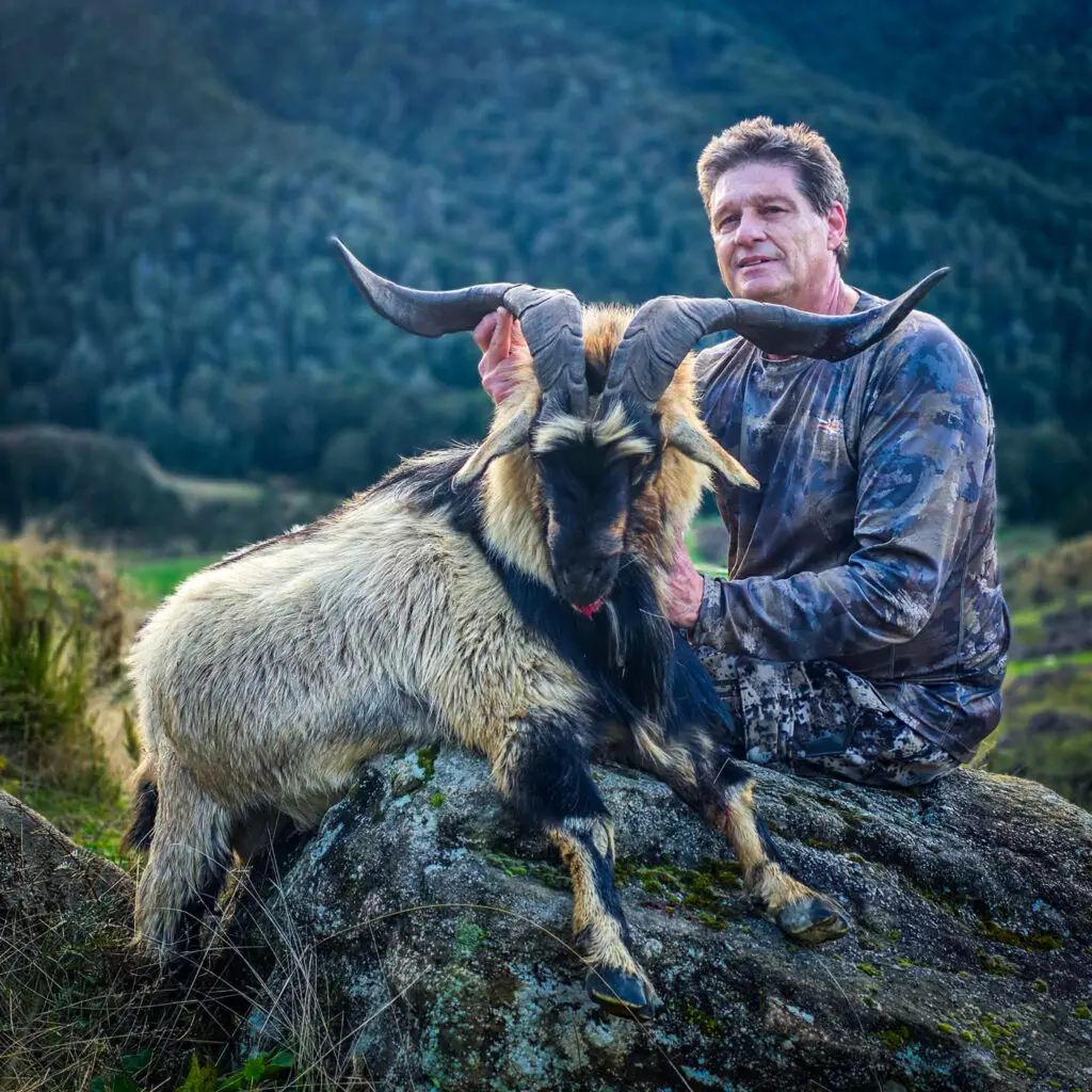 new zealand feral goat hunt