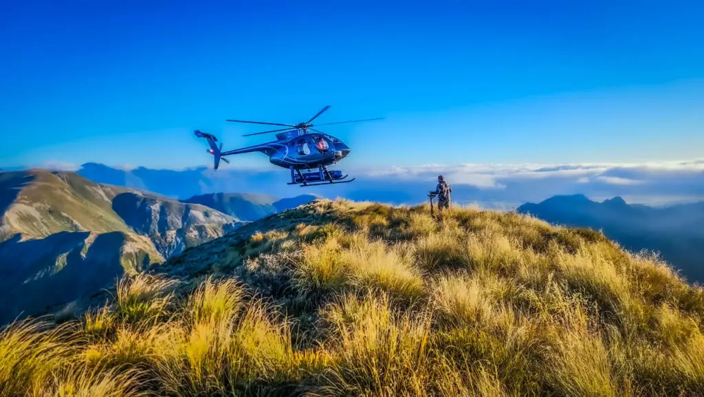 new zealand helicopter hunt for Tahr and Chamois