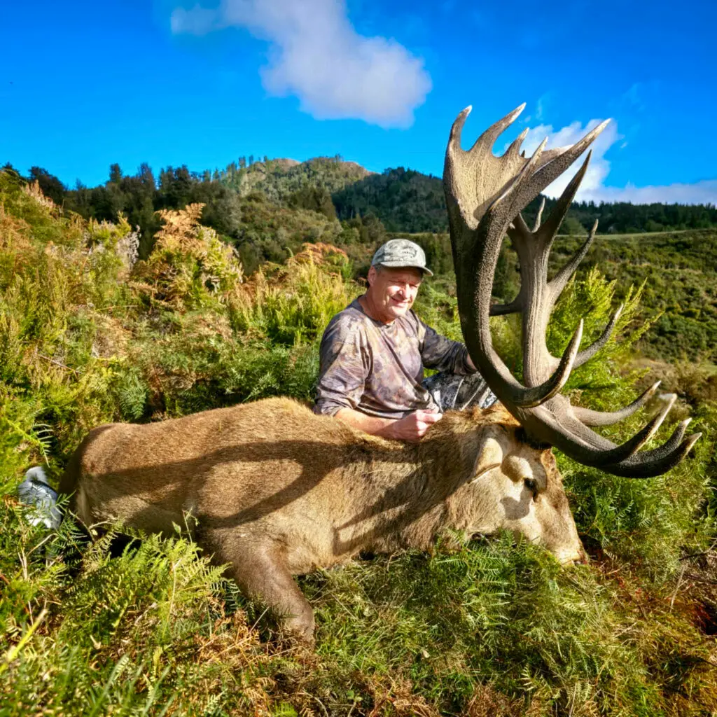 Hunt Massive Red Stag in New Zealand New Zealand Red Stag Hunt