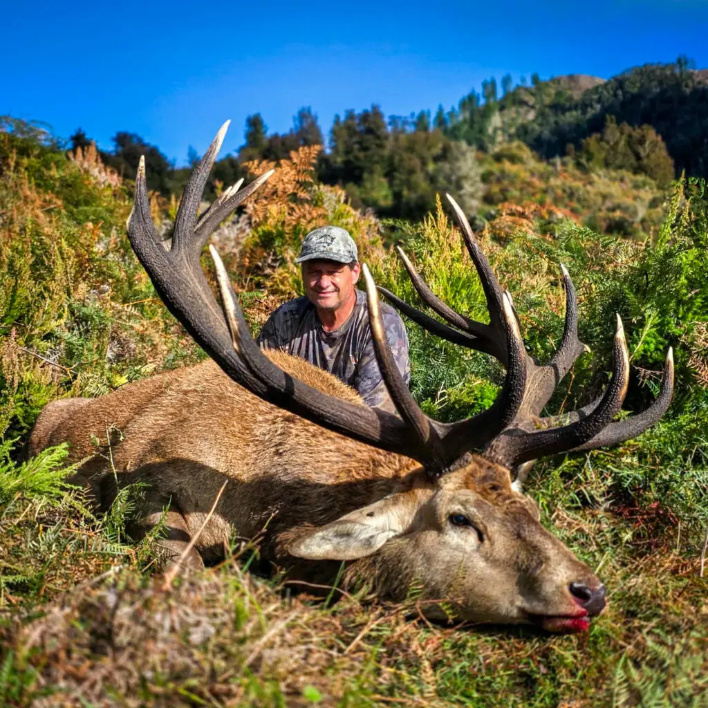 New Zealand Red Stag and Fallow Deer Hunt Hunt Red Stag in New Zealand