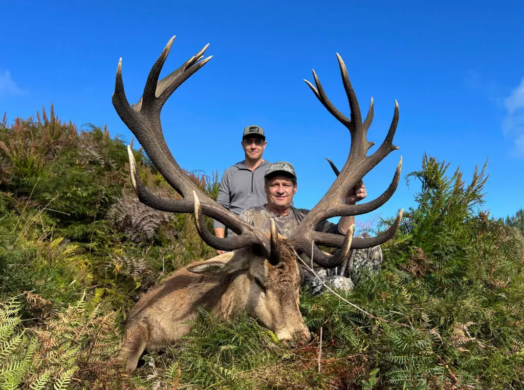 New Zealand Red Stag, Tahr and Fallow Deer Hunt red stag hunt in new zealand