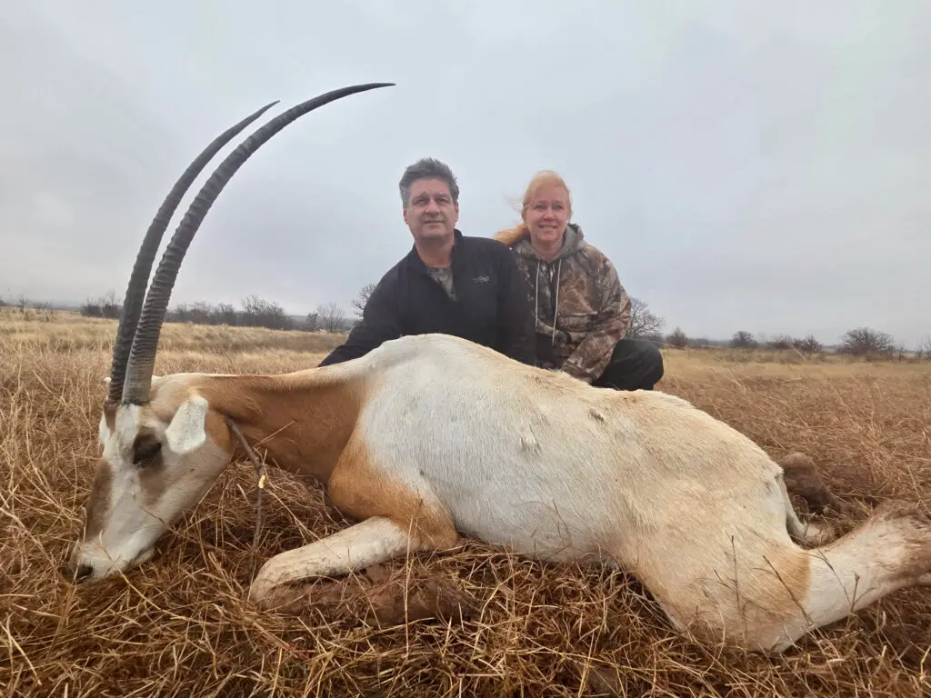 Scimitar Oryx Hunt in Oklahoma