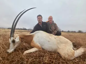 Scimitar Oryx Hunt in Oklahoma