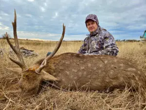 sika deer hunt in oklahoma