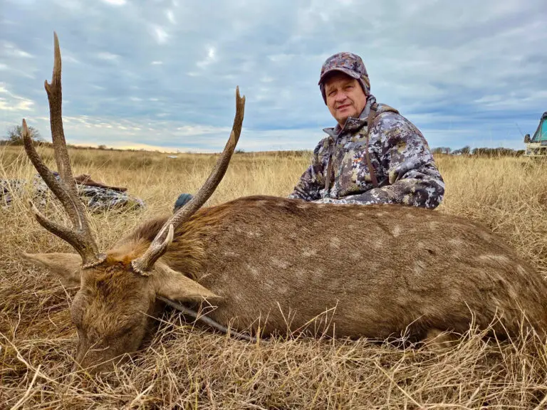 sika deer hunt in oklahoma