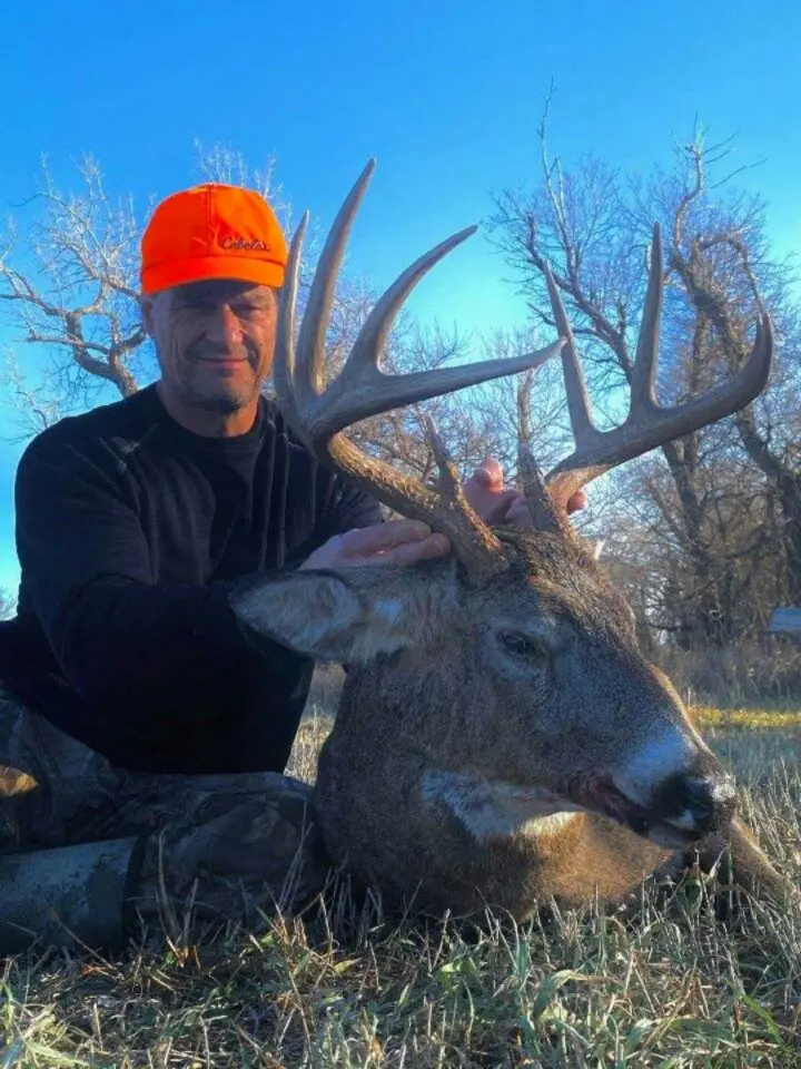 whitetail deer hunt