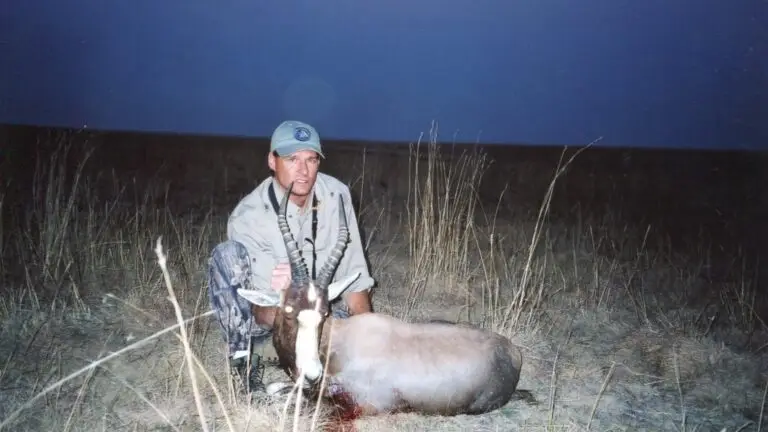 blesbuck hunt south africa