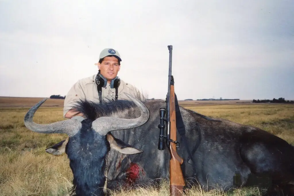 blue wildebeest hunt in botswana