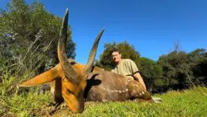 bushbuck hunt south africa