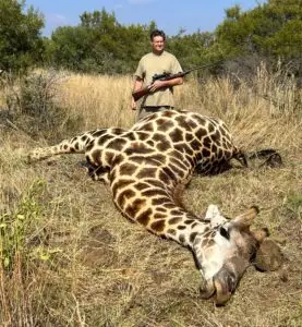 giraffe hunt south africa
