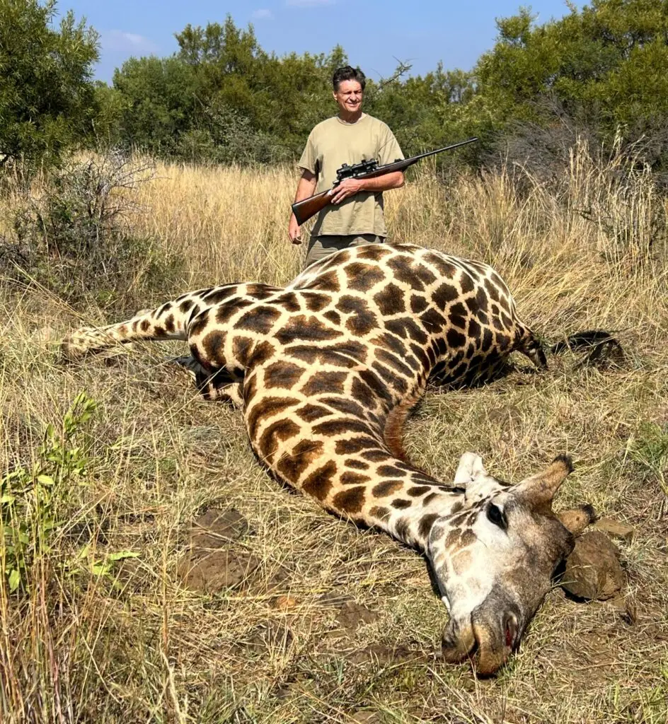 giraffe hunt south africa
