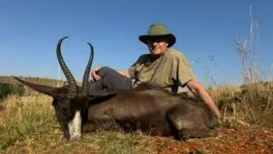 springbok black south africa