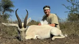 springbok white south africa