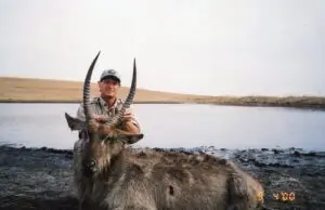 waterbuck south africa