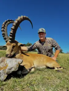 nubian ibex hunt in texas